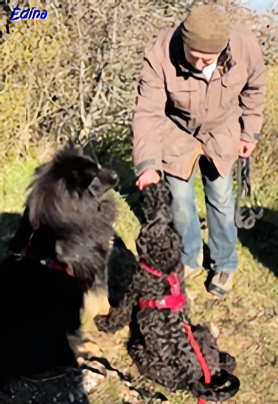 18.3.2025 - Howard und Herkules bei der Jause